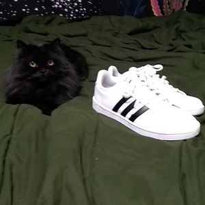 Adidas size ten ortholite float  shoes